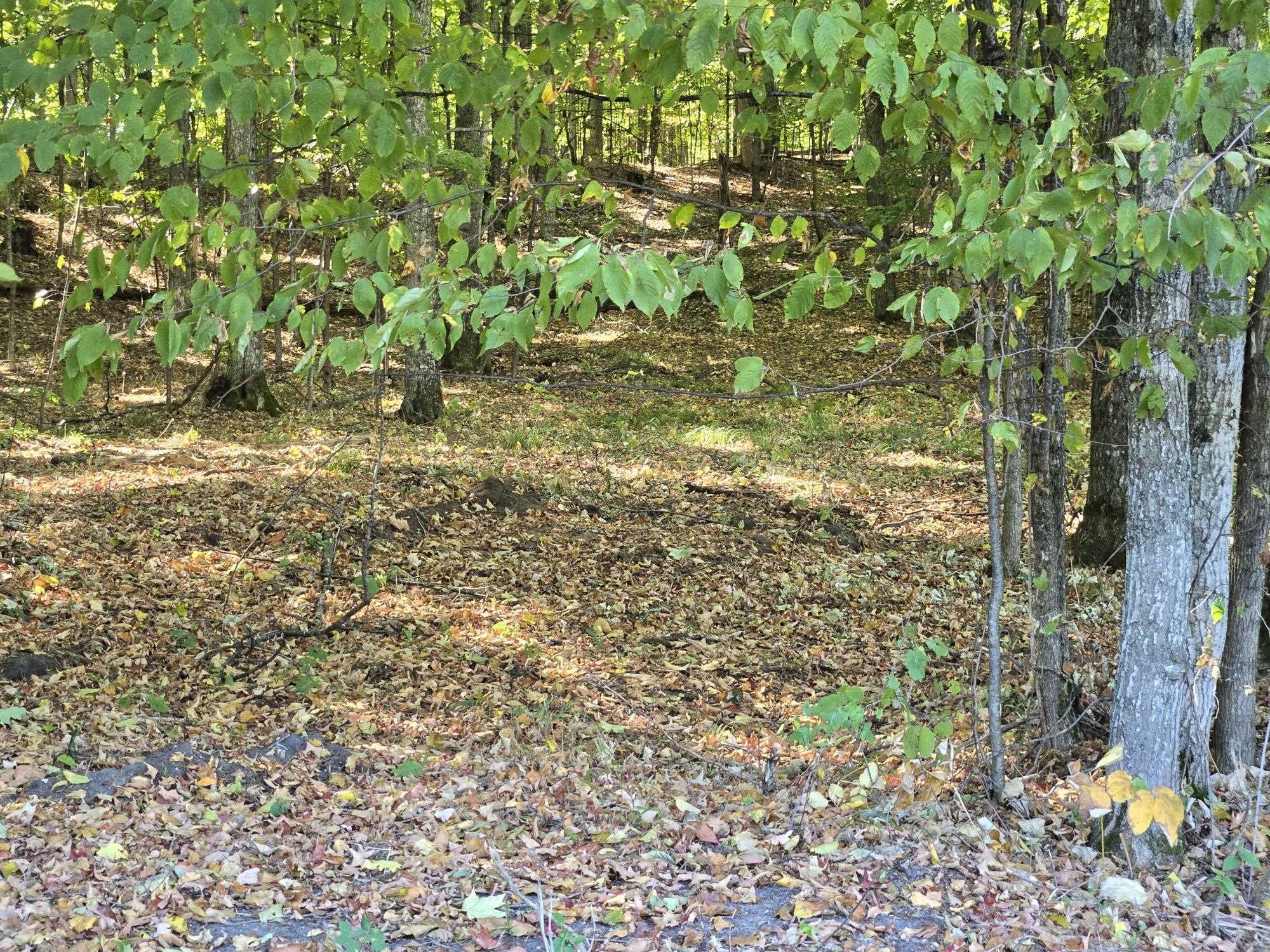 1 Heather Ridge Trail Beulah, MI 49617 - Photo 6 of 9