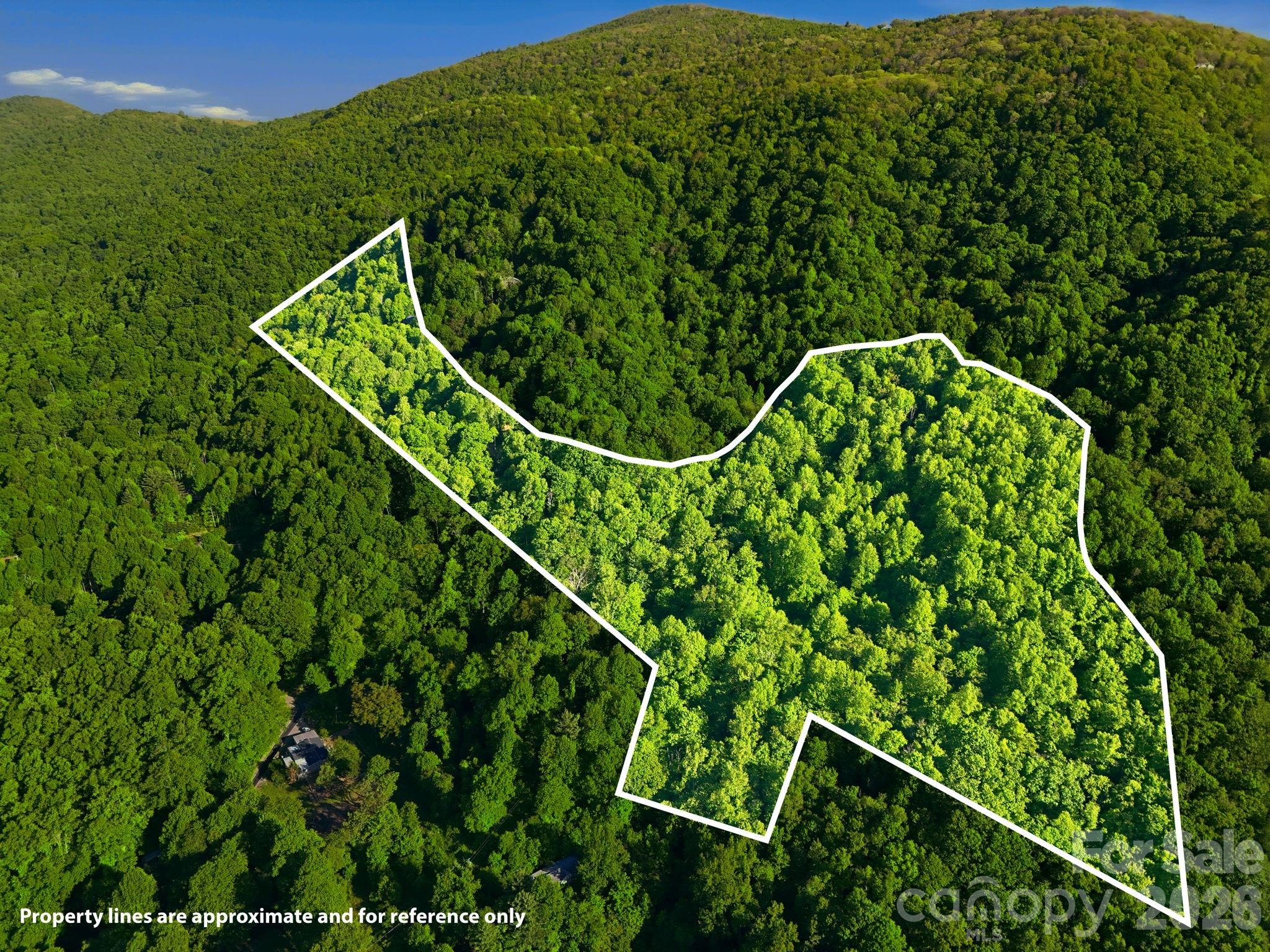 98 Sparkling Springs Road Fairview, NC 28730 - Photo 48 of 48