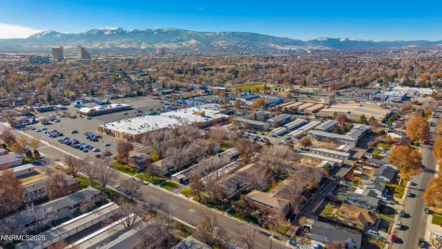 a view of yard with large trees