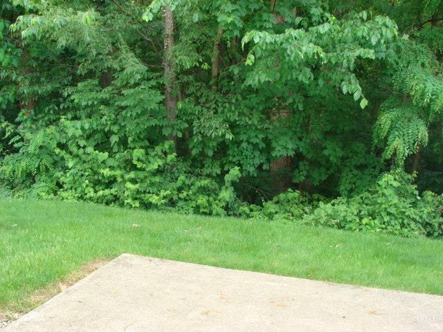 3209 Cedar Ridge Run Fort Wayne, IN 46808 - Photo 4 of 25 Gallery Image 4