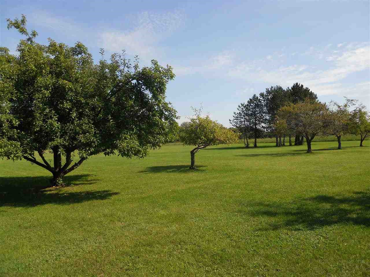 10133 Fulmer Road Millington, MI 48746 - Photo 51 of 98 21500522-50.JPG