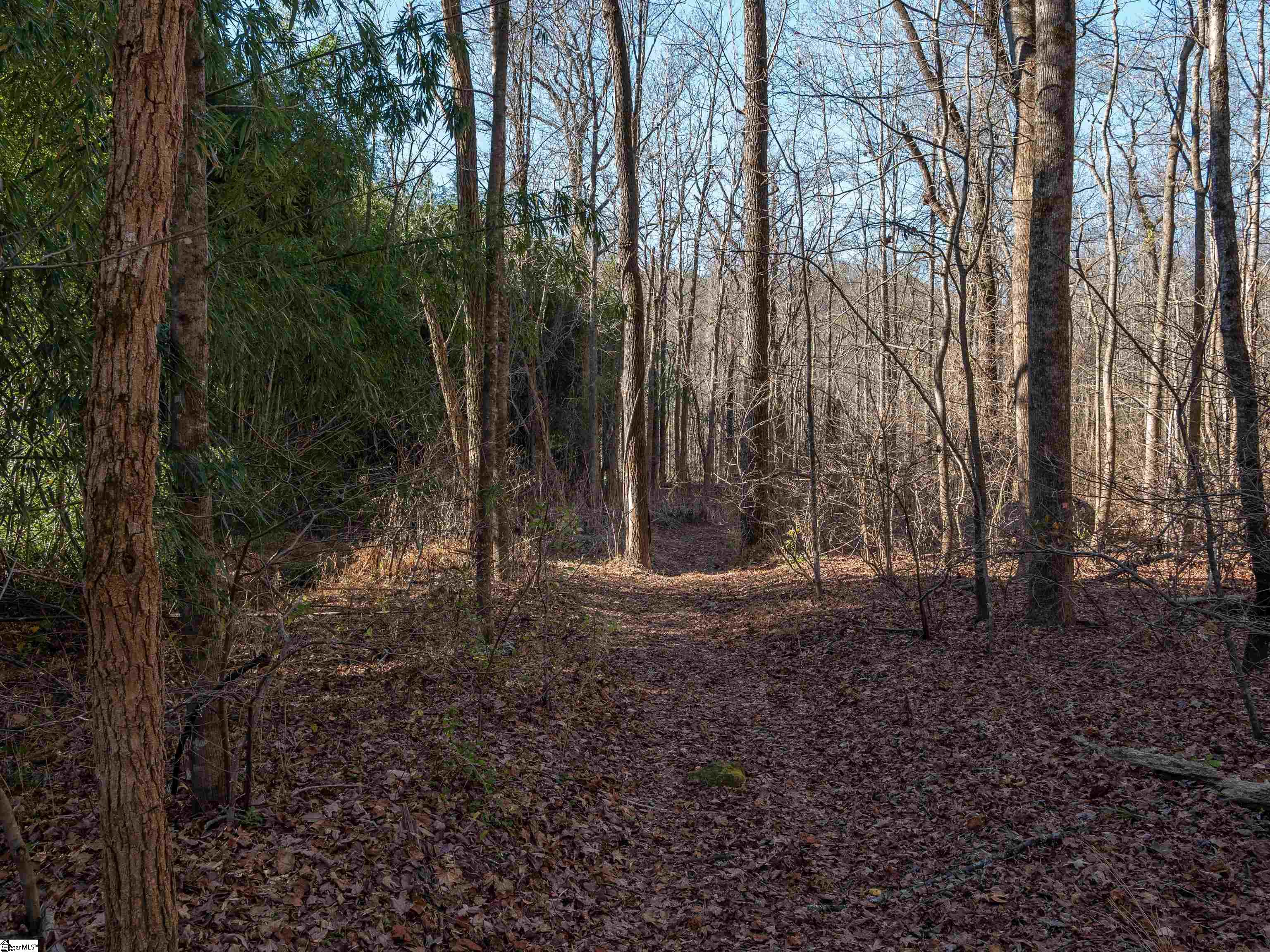 0 Pittman Road Landrum, SC 29356 - Photo 11 of 25