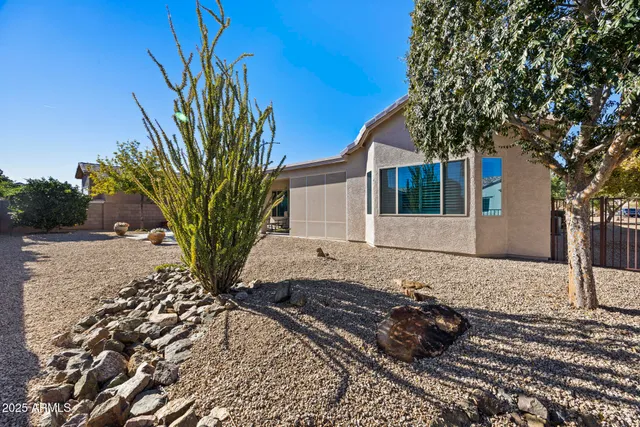 a view of a backyard with plants and palm trees