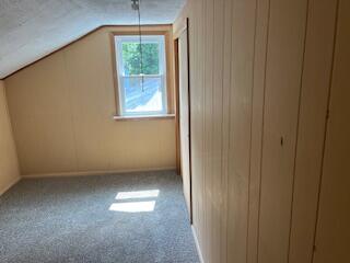 213 North 4th Street Palmyra, WI 53156 - Photo 9 of 13 IMG_0253