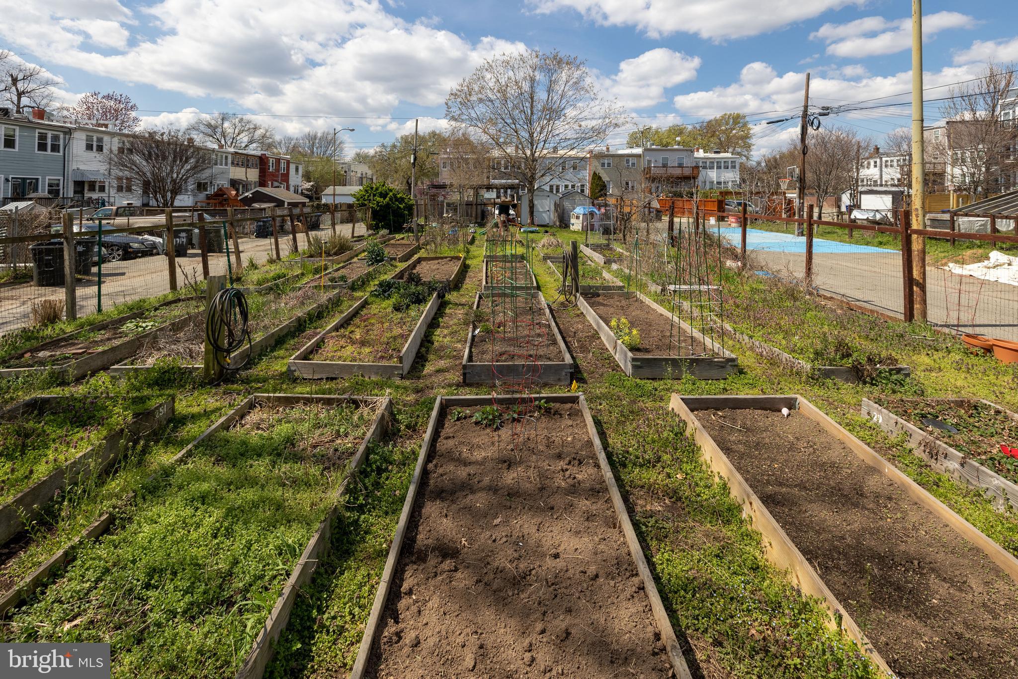 422 17th Street Southeast Washington, DC 20003 - Photo 53 of 59 GreenSEED Community Garden