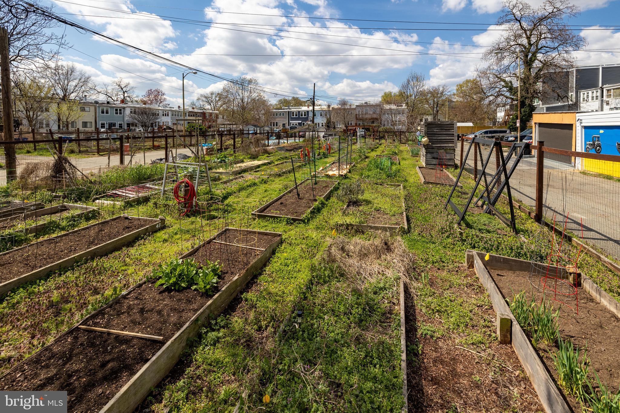 422 17th Street Southeast Washington, DC 20003 - Photo 55 of 59 Or look them up on insta @greenseedcommunitygarden