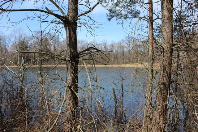 $35,000 | 43278 Whispering Pines Path, Unit 9, Coloma, MI 49038