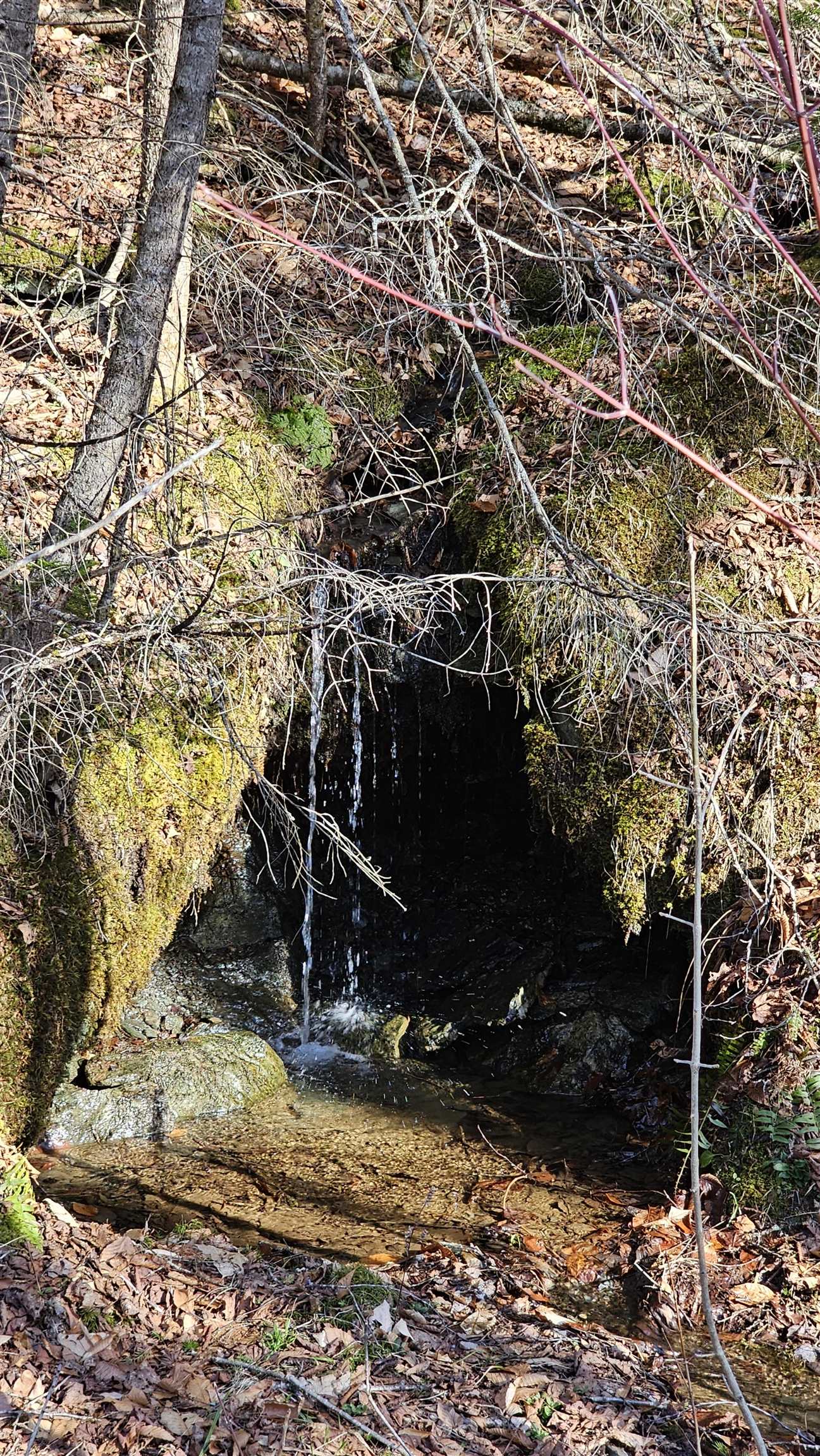 512 Woodbury Mountain Road Calais, VT 05648 - Photo 25 of 59