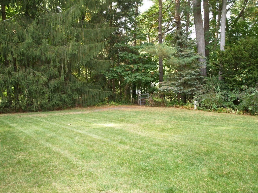 15 Clarissa Road Chelmsford, MA 01824 - Photo 18 of 22 a view of yard with green space