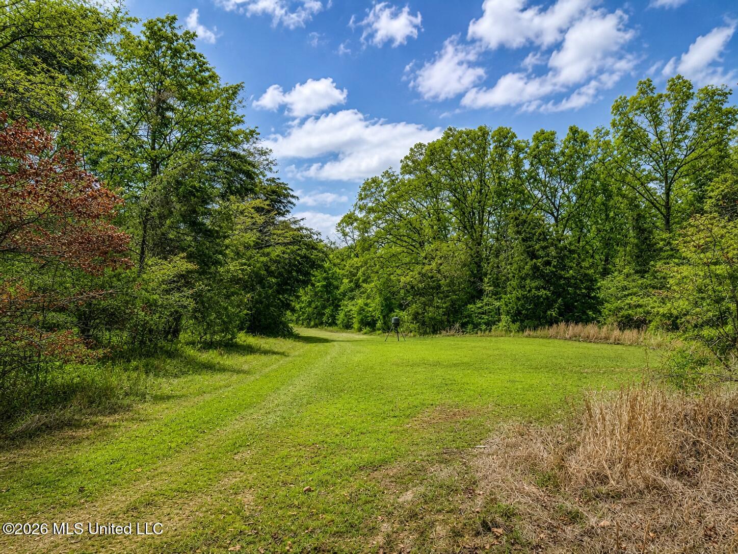 157 Eulogy Road Lexington, MS 39095 - Photo 6 of 60 f569c4a6-526a-4011-8e19-8fff0fc45d90