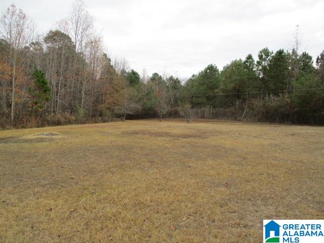 109 Hawkins Road Springville, AL 35146 - Photo 23 of 24