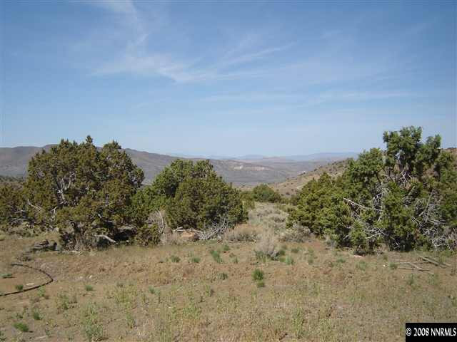 5700 Microwave Road Reno, NV 89510 - Photo 3 of 9 a view of a field with a tree in background