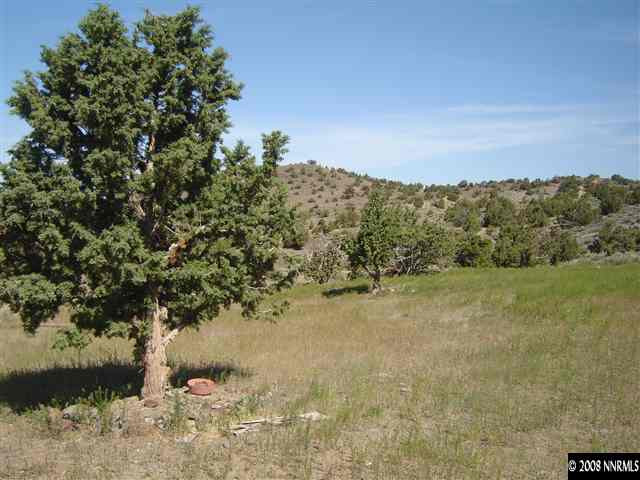 5700 Microwave Road Reno, NV 89510 - Photo 6 of 9 a view of a yard with trees in the background