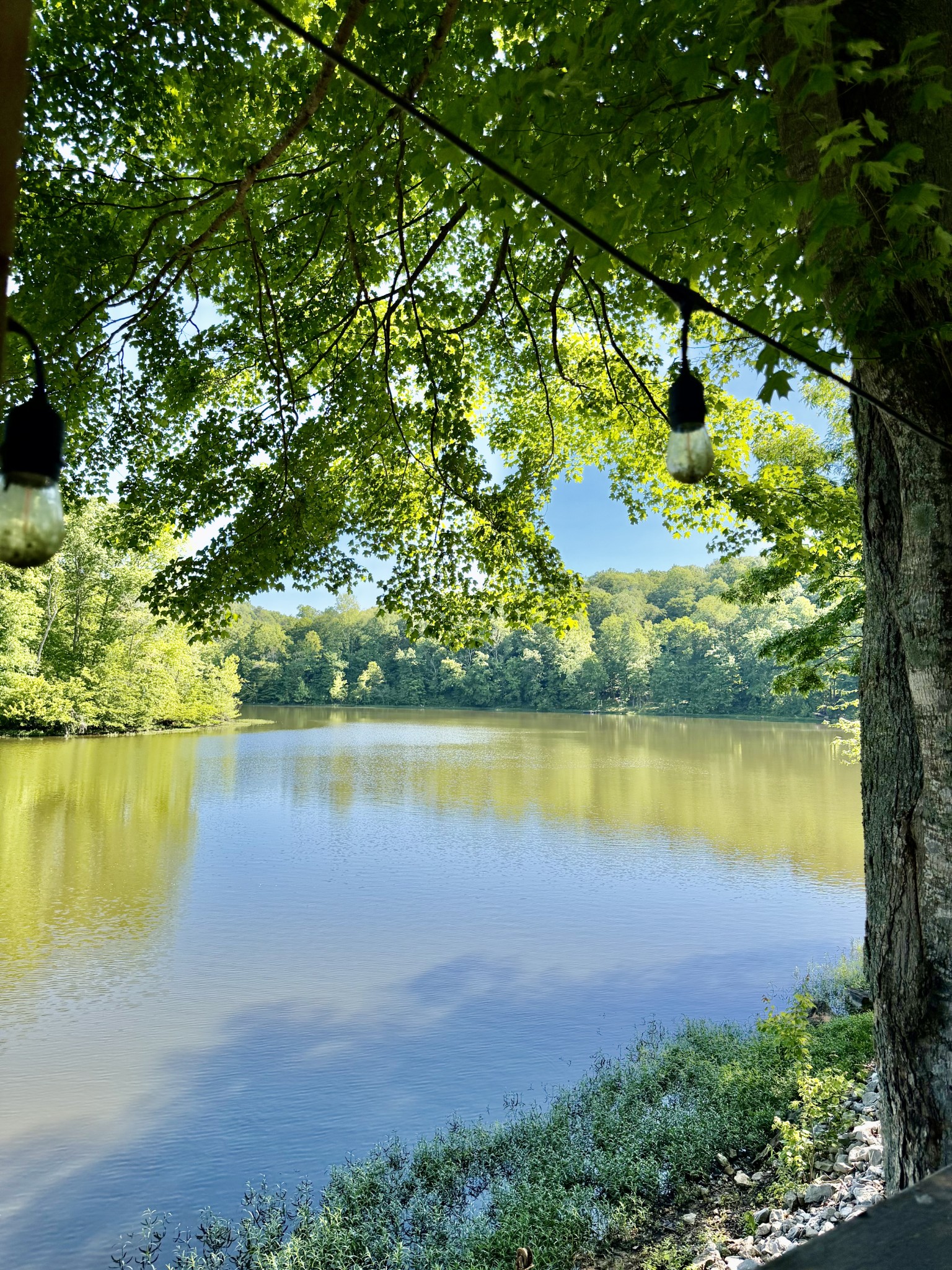 1340 Slaughter Road Lewisburg, KY 42256 - Photo 6 of 14 Gallery Image 6
