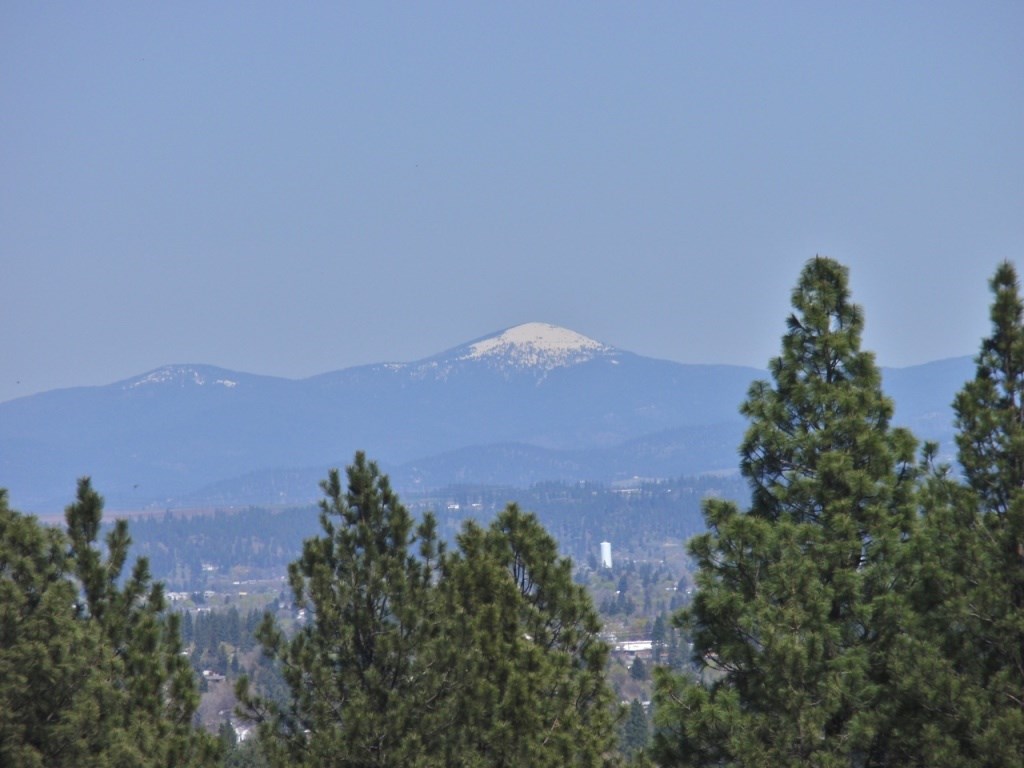 9403 East Holman Road Spokane, WA 99206 - Photo 3 of 20 Gallery Image 3