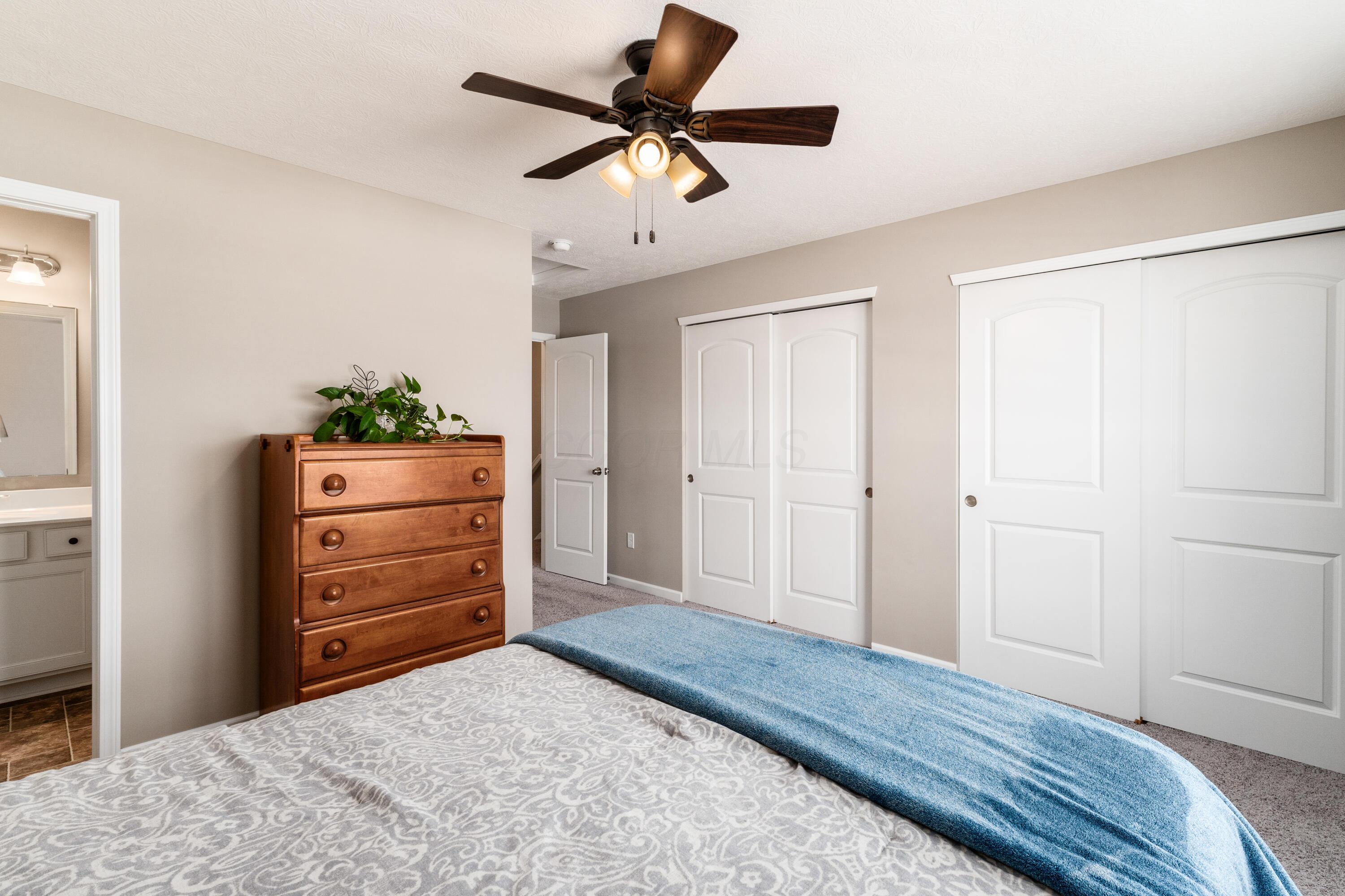 296 Autumn Ridge Circle Pickerington, OH 43147 - Photo 13 of 24 Double Closets