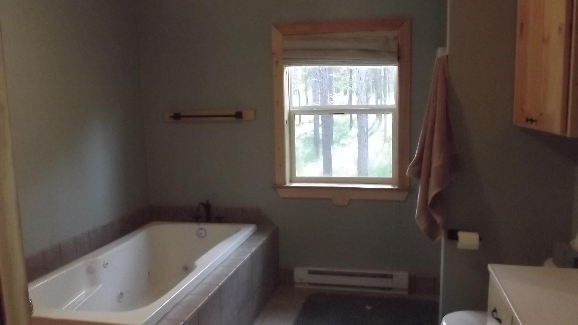 5851 Walsh Road Lewiston, MI 49756 - Photo 11 of 18 Gallery Image 11