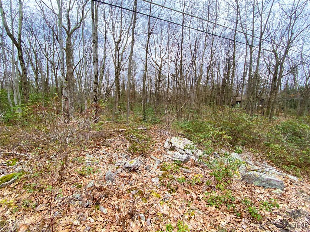 Sandalwood Road, Unit 172 Jim Thorpe, PA 18229 - Photo 2 of 5