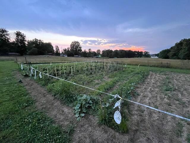 2270 Ginder Road Northwest Lancaster, OH 43130 - Photo 97 of 99