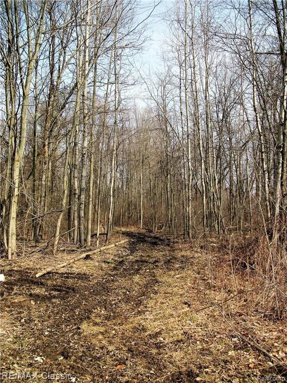 9900 West Allen Road Fowlerville, MI 48836 - Photo 30 of 36