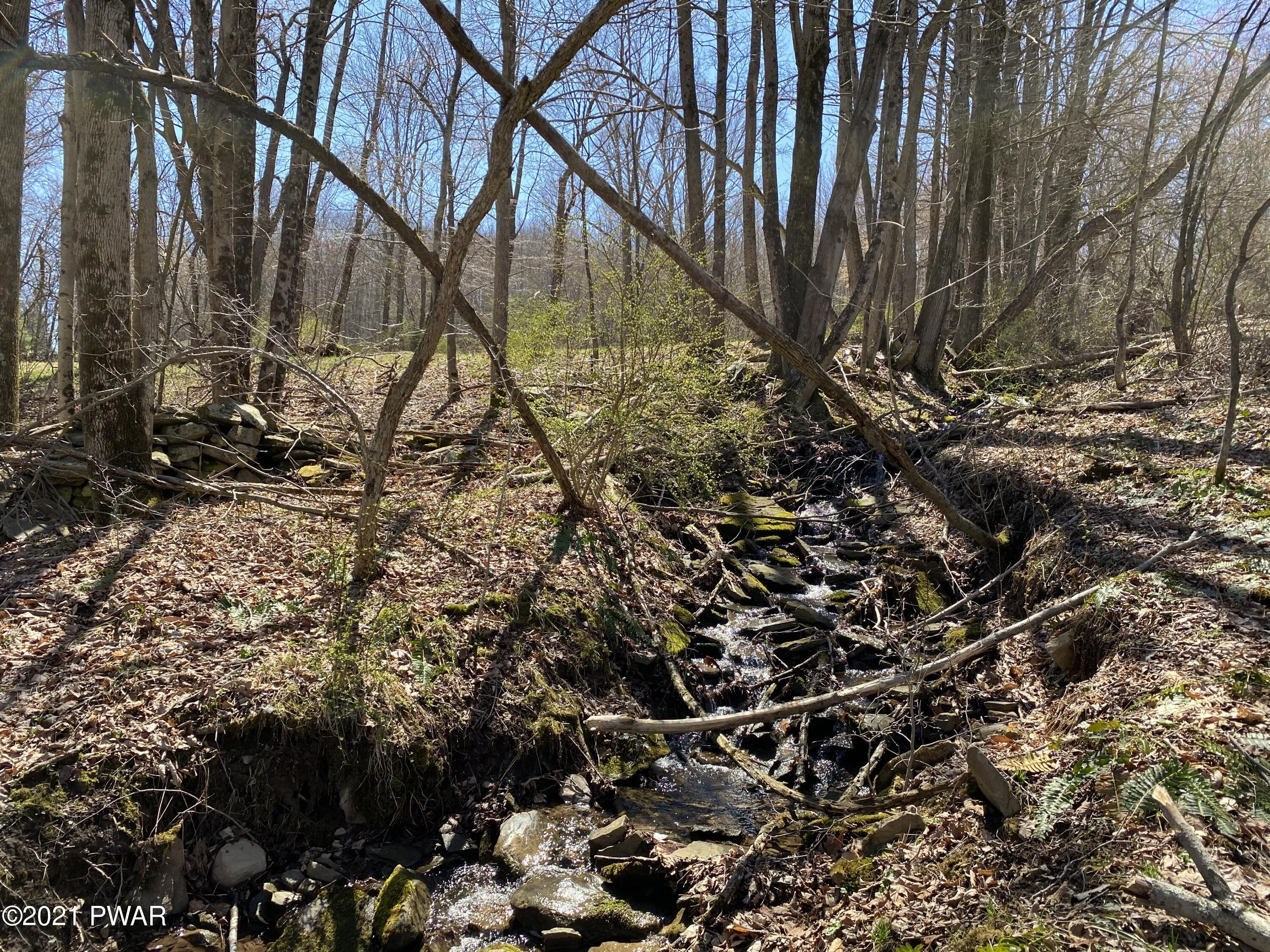 Burns Road Waymart, PA 18472 - Photo 5 of 12 Stream