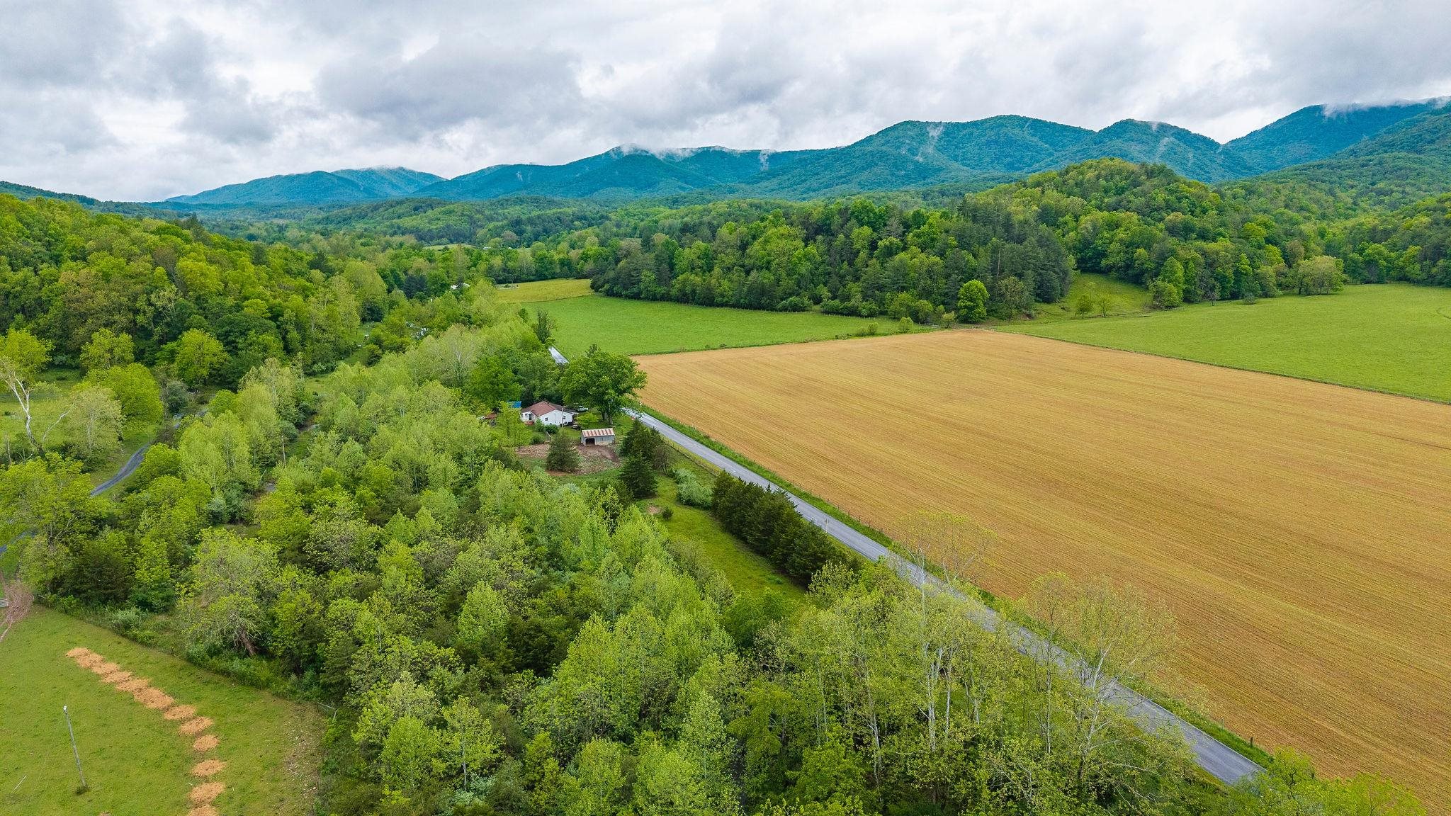 3292 Deerfield Valley Road Deerfield, VA 24432 - Photo 62 of 69 a view of a lush green hillside and a houses