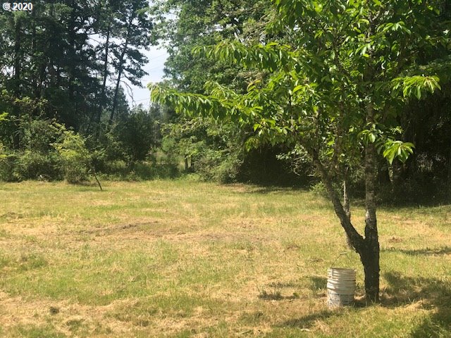 25706 Jeans Road Veneta, OR 97487 - Photo 8 of 9 Gallery Image 8