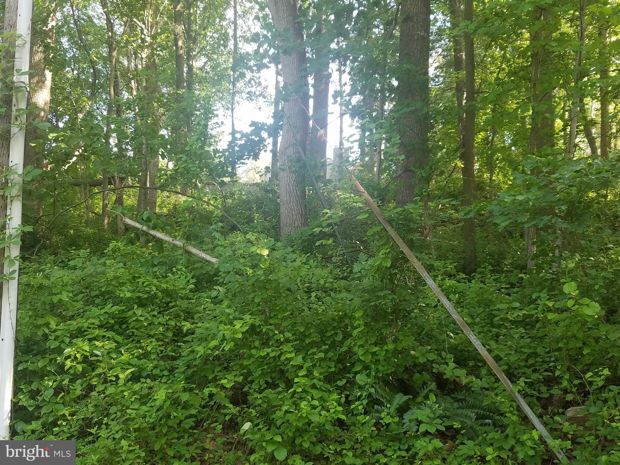 Hunter Mill Road Vienna, VA 22182 - Photo 22 of 27 Exterior (General)