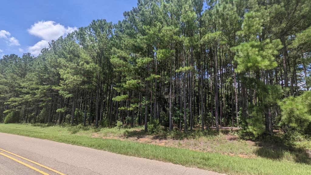 0 Settlement Road Hartford, AL 36344 - Photo 1 of 4