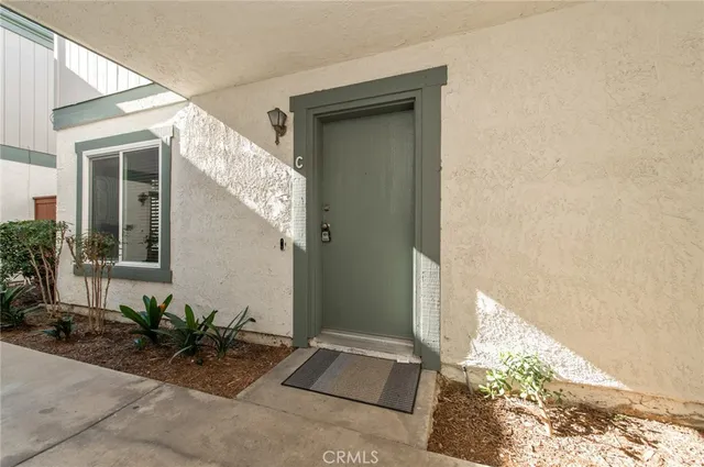 a potted plant in front of a house