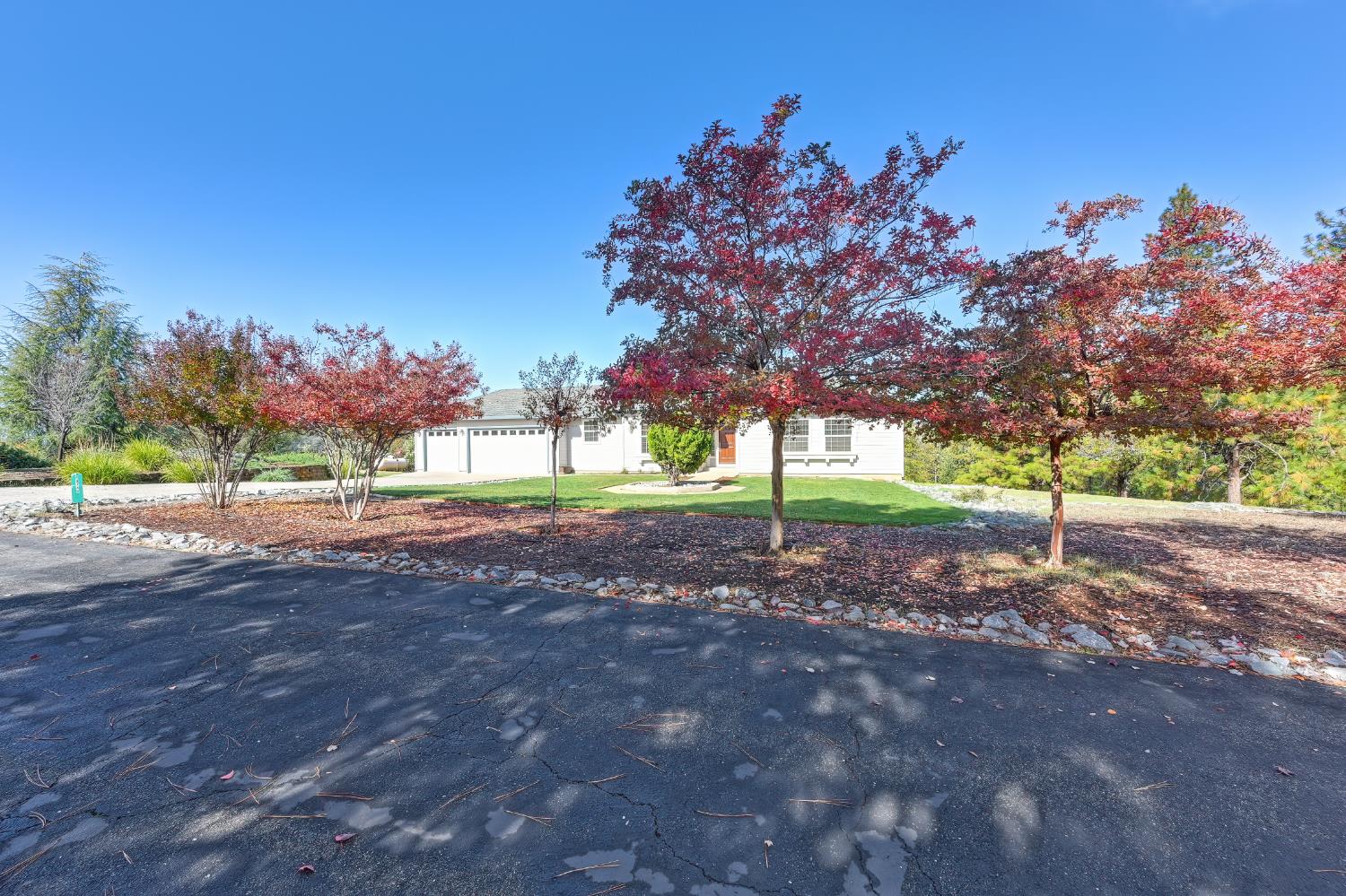19740 Wedemeyer Place Applegate, CA 95703 - Photo 3 of 59 a view of a house with a yard