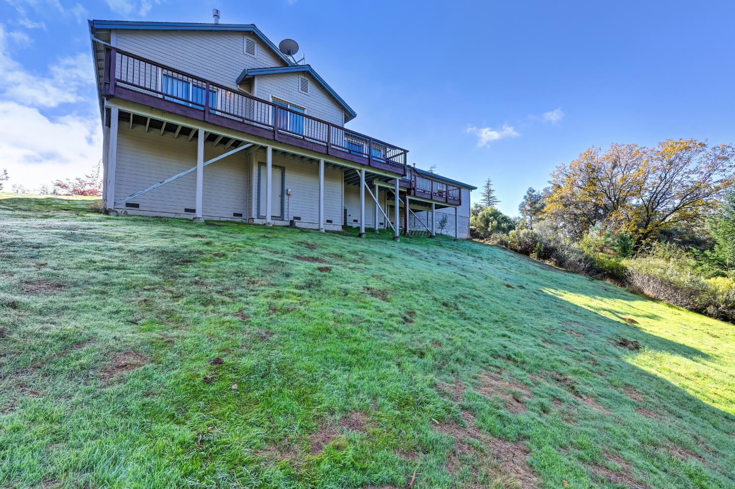 19740 Wedemeyer Place Applegate, CA 95703 - Photo 55 of 59 a barn house with a big yard plants and large trees