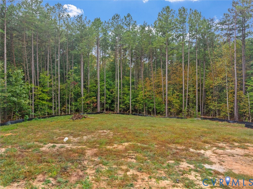6115 Autumn Bluff Road Powhatan, VA 23139 - Photo 6 of 12 Gallery Image 6