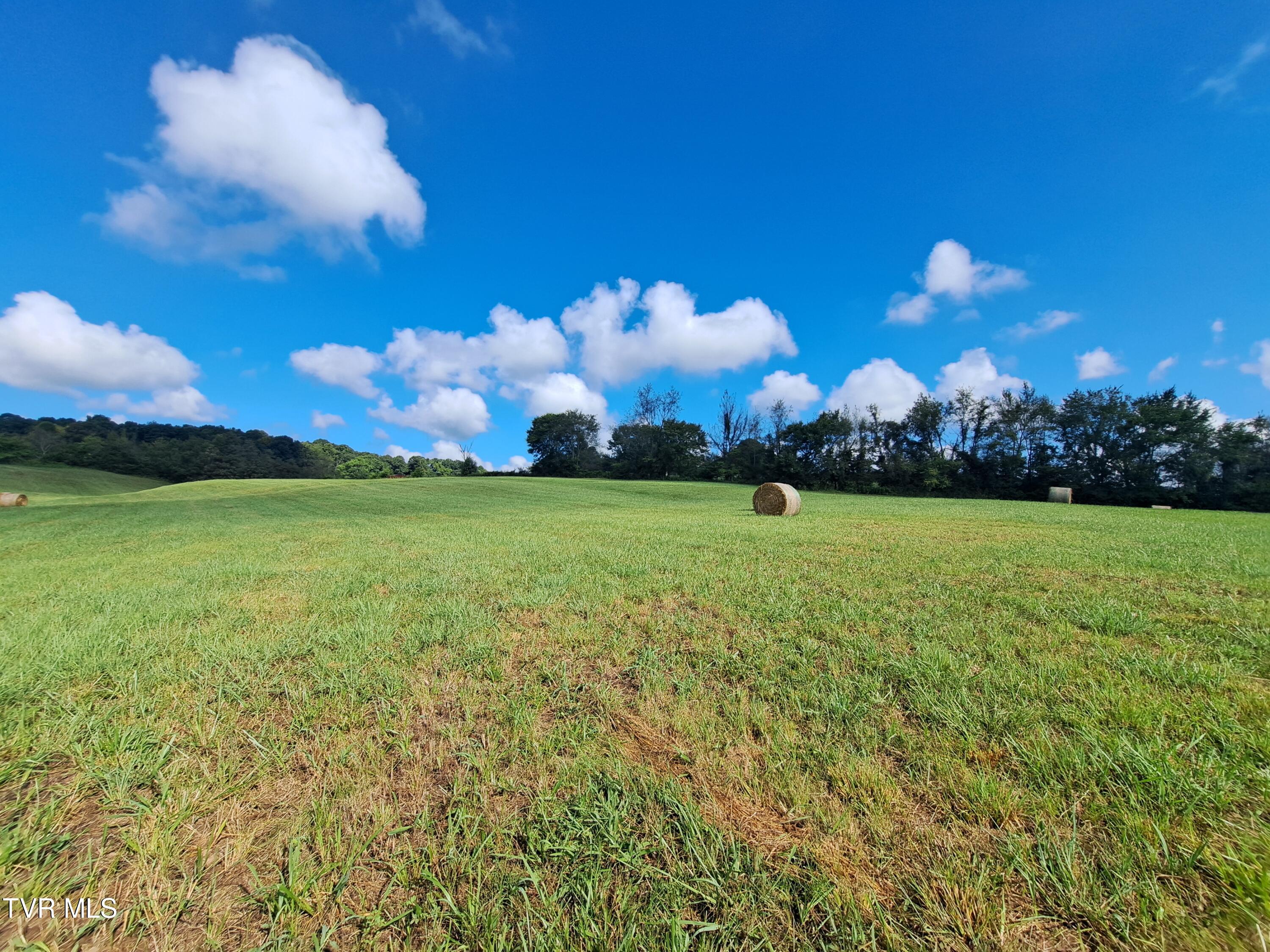 1765 Stone Dam Road Chuckey, TN 37641 - Photo 12 of 33 September Transfer 332