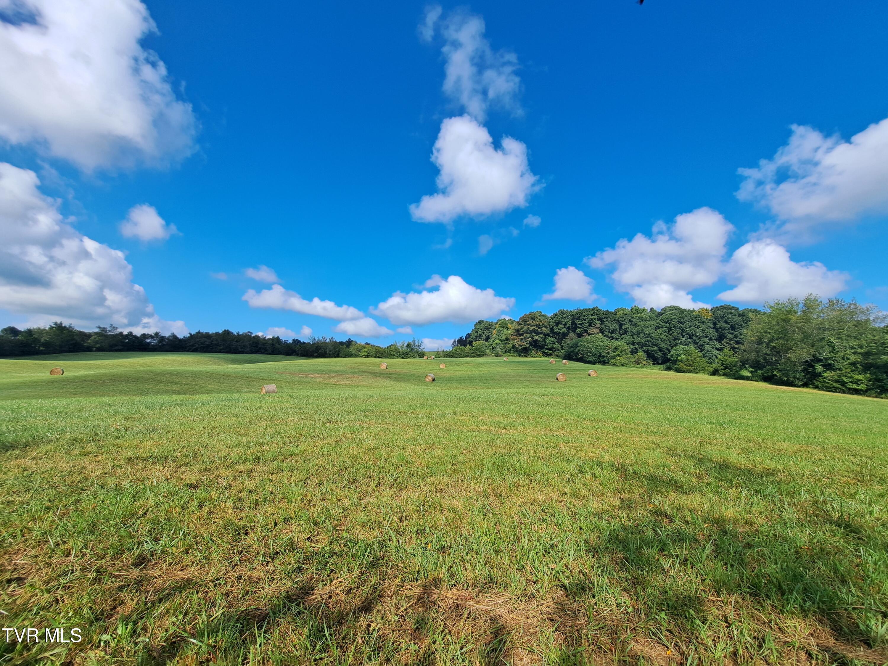 1765 Stone Dam Road Chuckey, TN 37641 - Photo 17 of 33 September Transfer 337