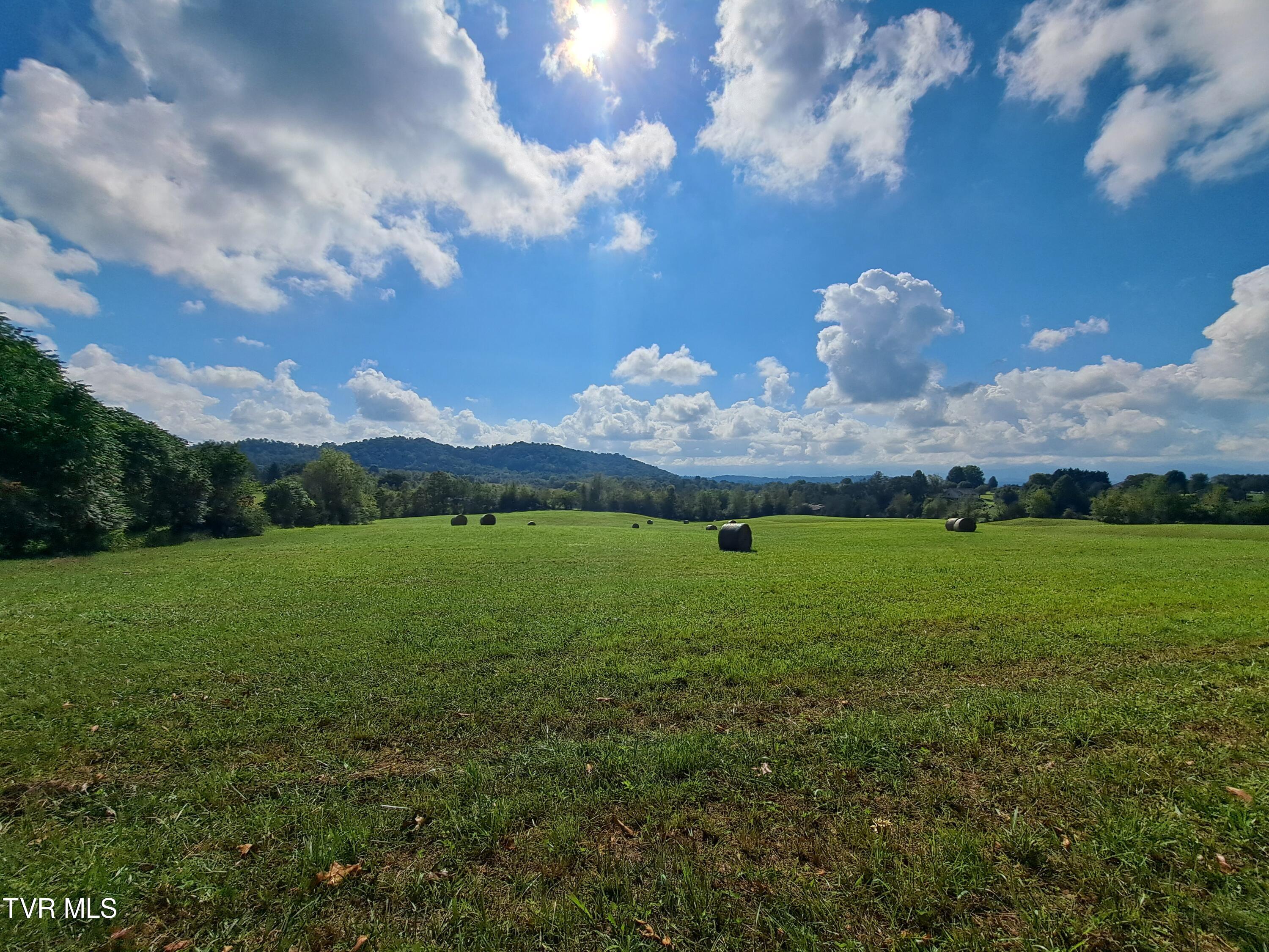 1765 Stone Dam Road Chuckey, TN 37641 - Photo 18 of 33 September Transfer 338