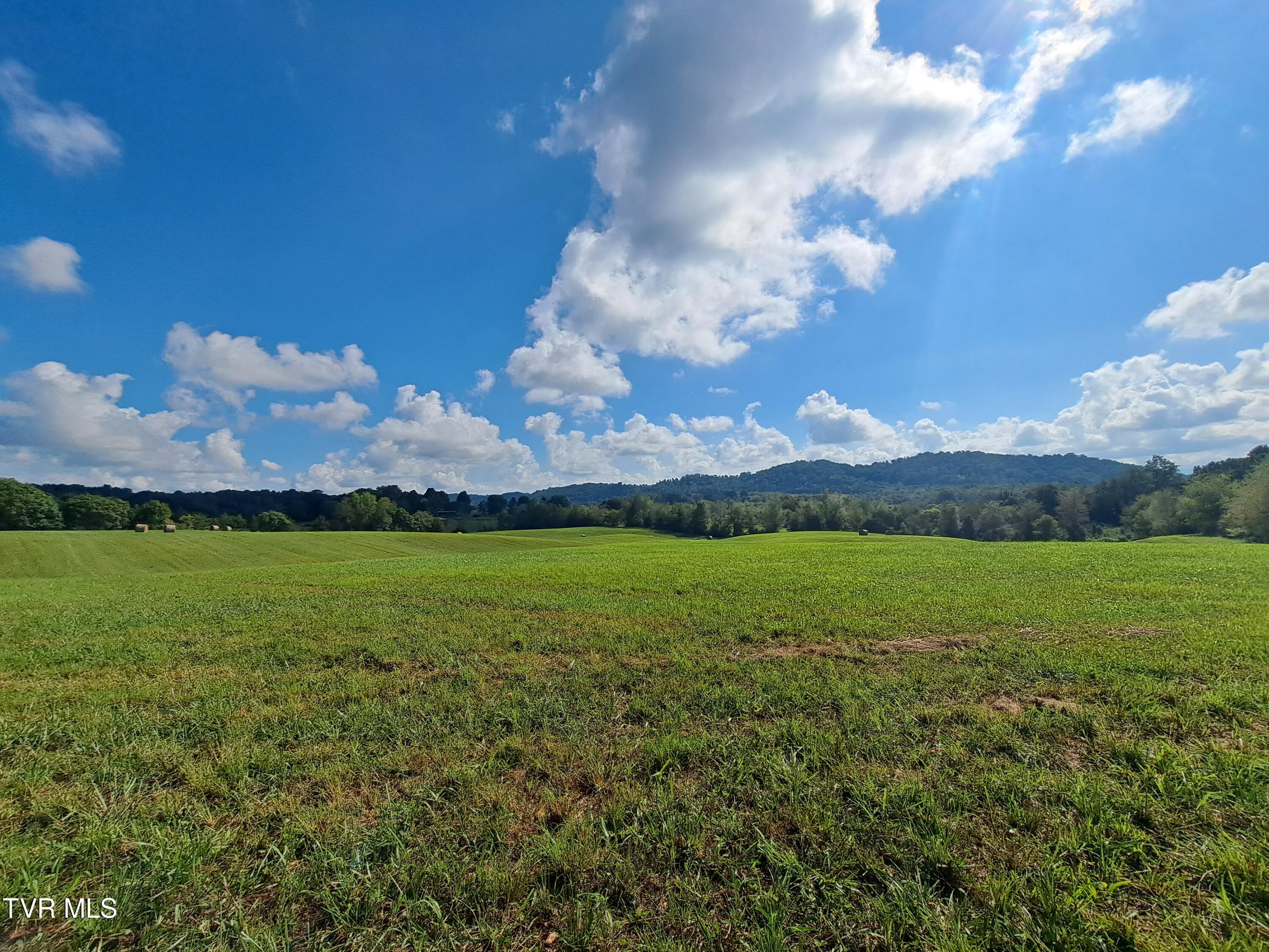 1765 Stone Dam Road Chuckey, TN 37641 - Photo 19 of 33 September Transfer 339