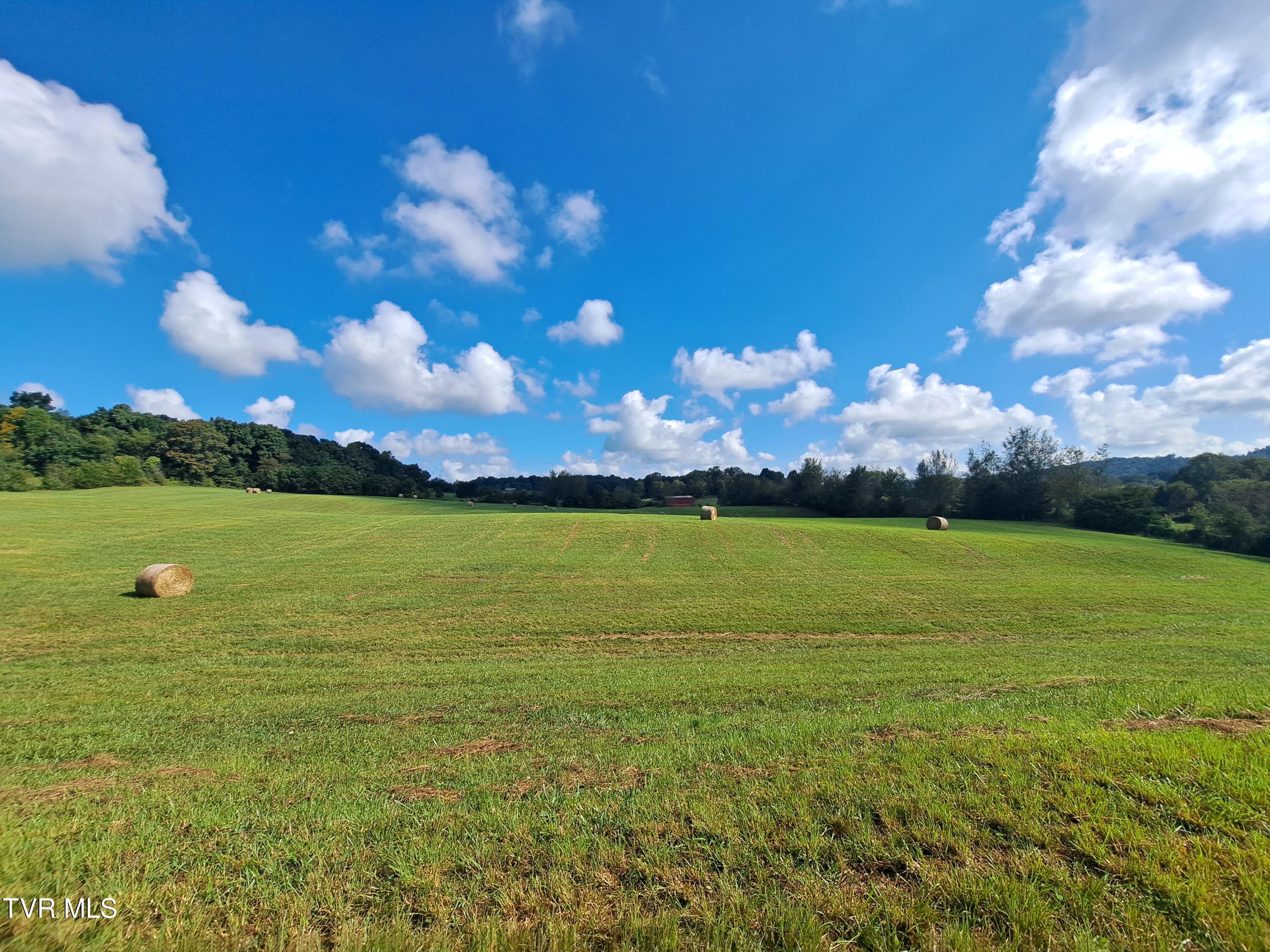1765 Stone Dam Road Chuckey, TN 37641 - Photo 20 of 33 September Transfer 340