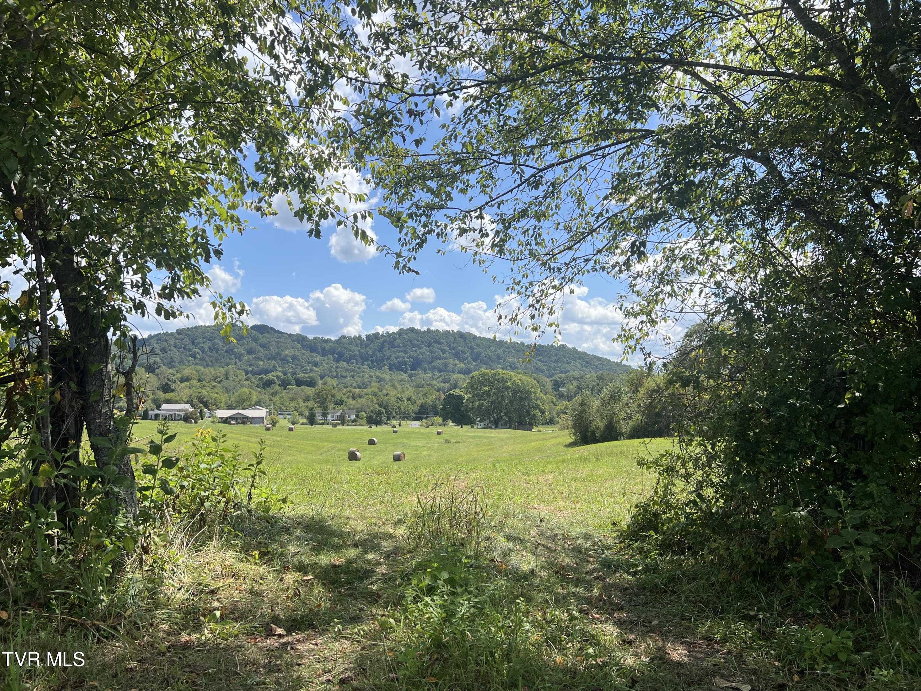 1765 Stone Dam Road Chuckey, TN 37641 - Photo 22 of 33 IMG_5829