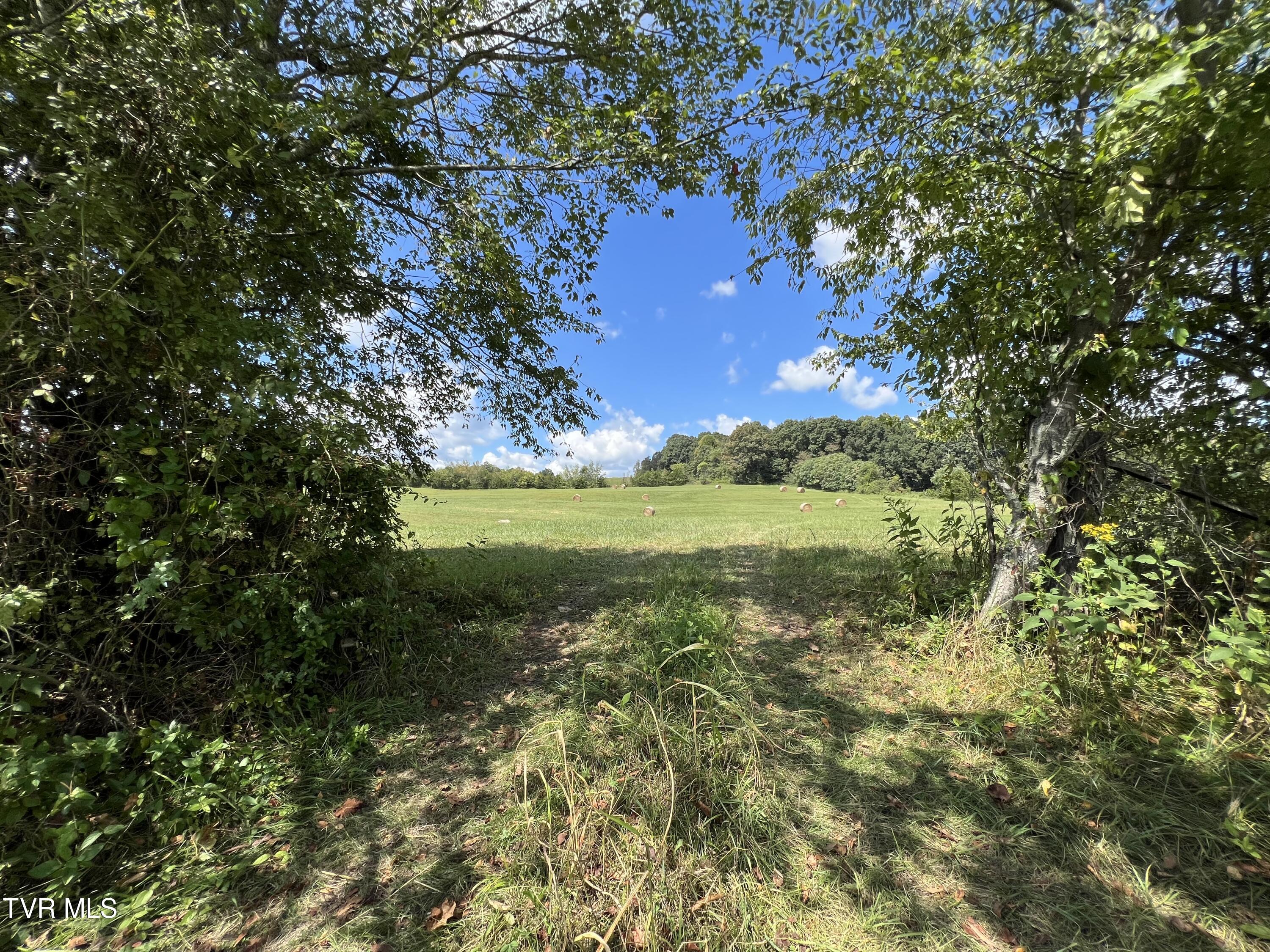1765 Stone Dam Road Chuckey, TN 37641 - Photo 23 of 33 IMG_5830