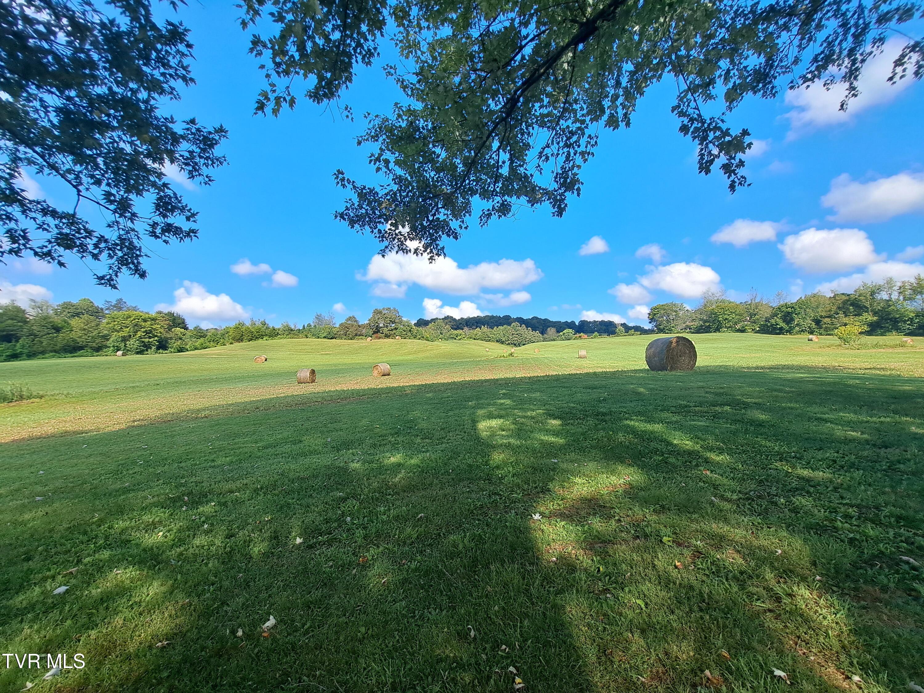 1765 Stone Dam Road Chuckey, TN 37641 - Photo 10 of 33 September Transfer 328