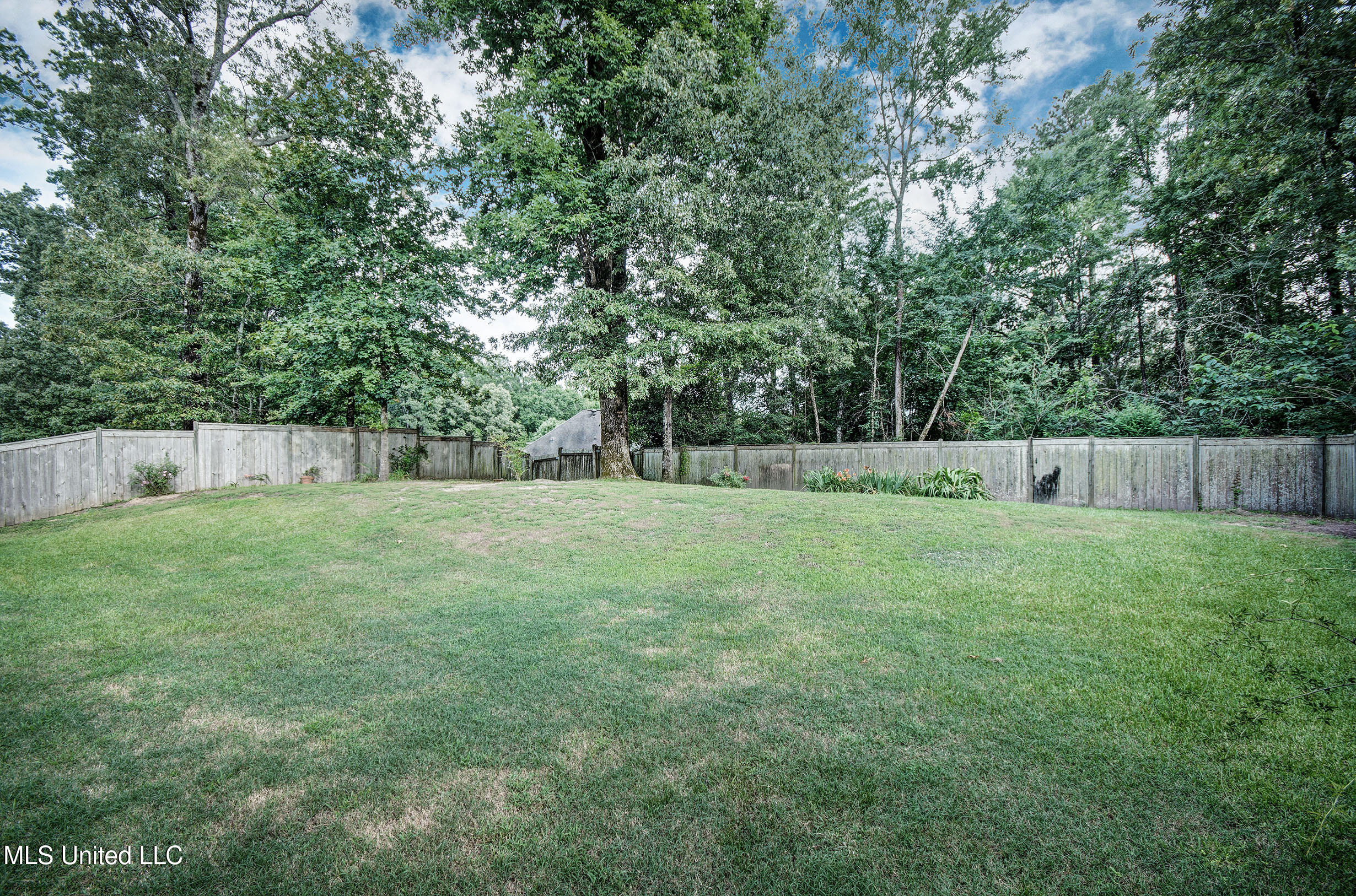 127 Rockbridge Circle Clinton, MS 39056 - Photo 6 of 32 IMGP2866_7_8