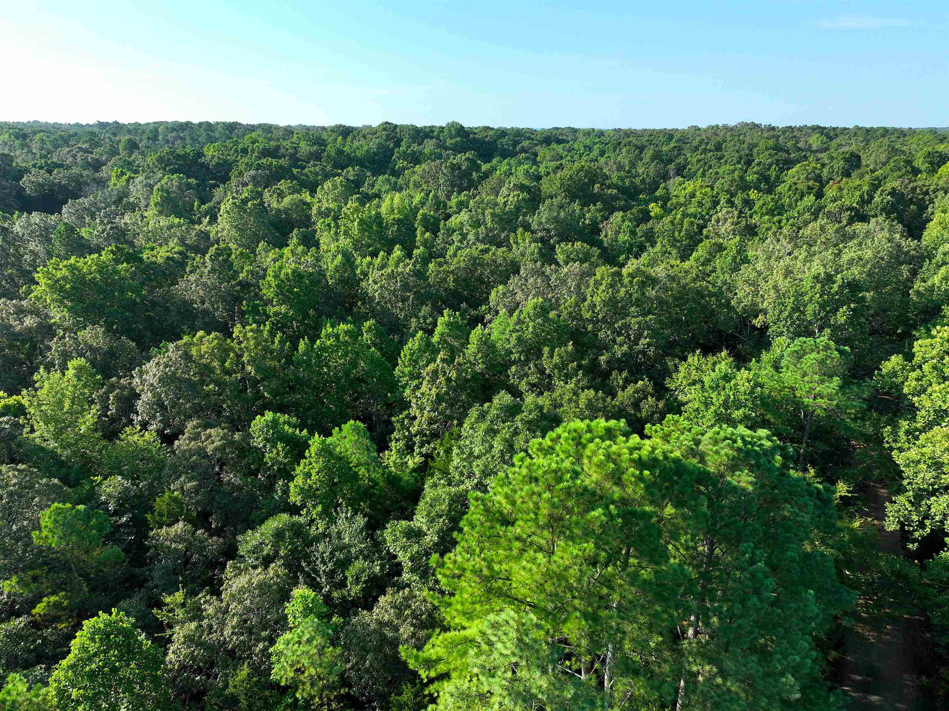5335 Country Club Road Somerville, TN 38068 - Photo 29 of 32 an aerial view of a houses with a yard