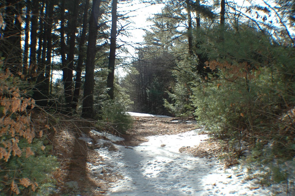 0 Tully Road Orange, MA 01364 - Photo 3 of 3 Gallery Image 3