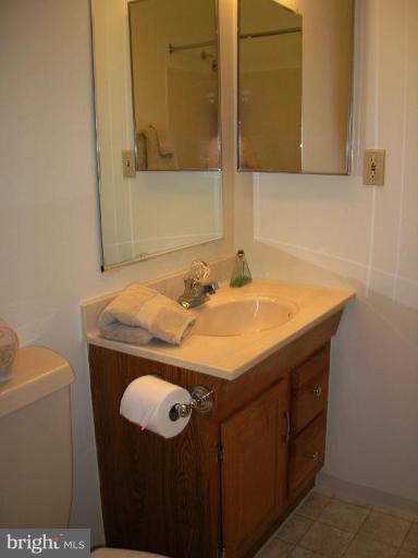 2123 Golf Course Drive Reston, VA 20191 - Photo 13 of 13 Master Bath #2