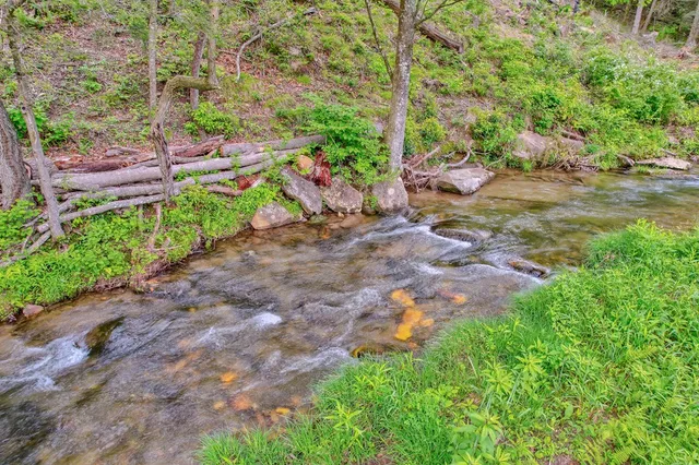 $799,900 | 16400 Big Creek Road, Cherry Log, GA 30522