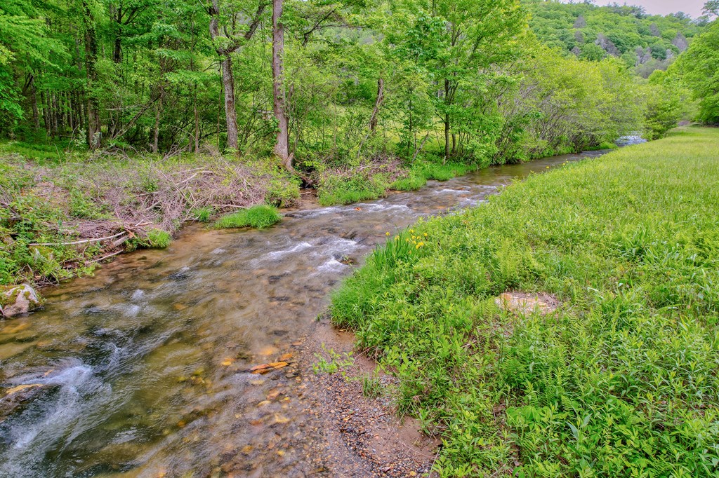 16400 Big Creek Road Cherry Log, GA 30522 - Photo 13 of 36