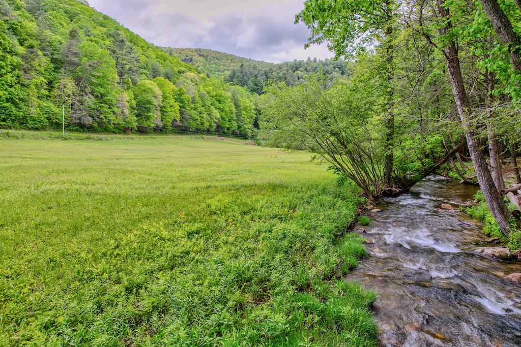 16400 Big Creek Road Cherry Log, GA 30522 - Photo 2 of 36
