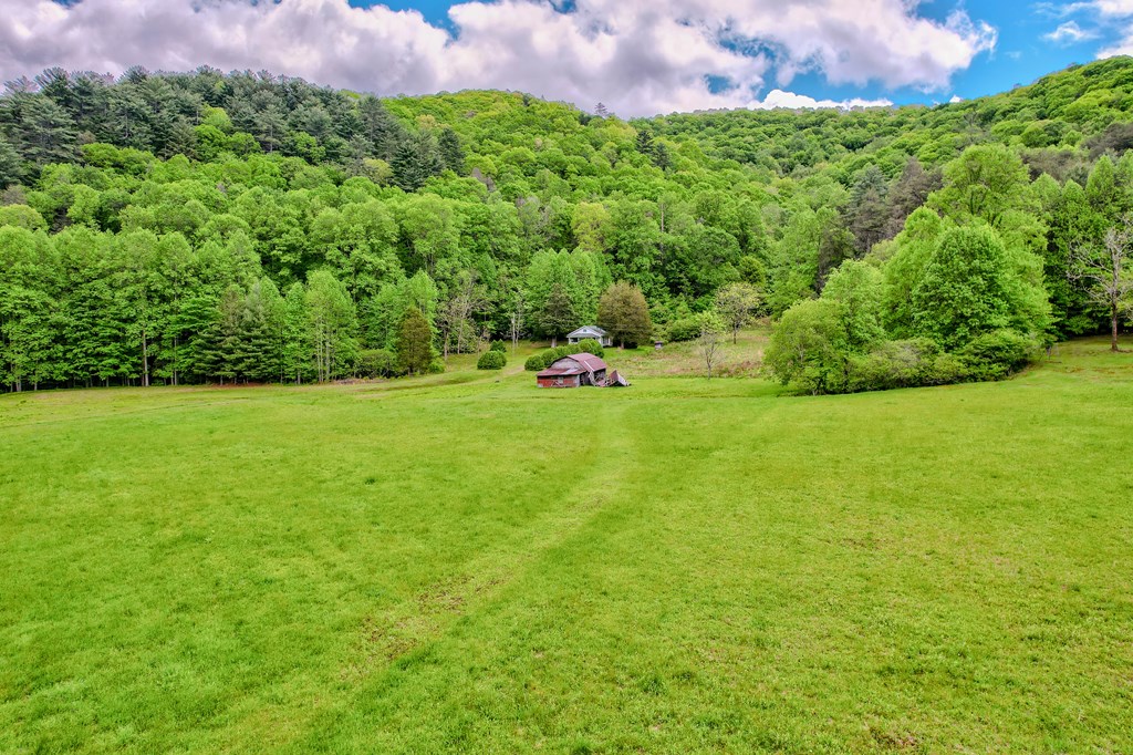 16400 Big Creek Road Cherry Log, GA 30522 - Photo 21 of 36