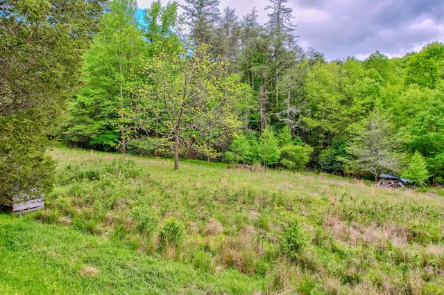 $799,900 | 16400 Big Creek Road, Cherry Log, GA 30522